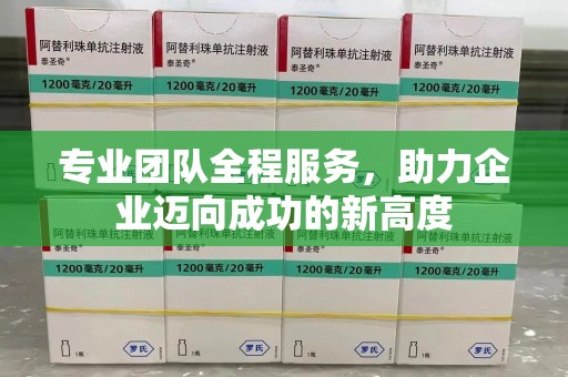 长春专业团队全程服务，助力企业迈向成功的新高度